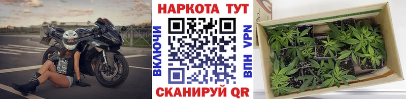 Где можно купить наркотики Кашин Марихуана Кокаин АМФЕТАМИН Гашиш