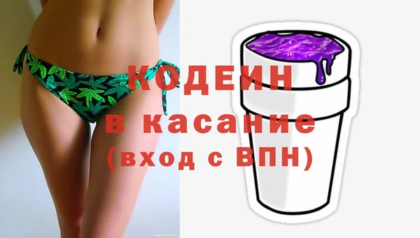 хмурый Алзамай