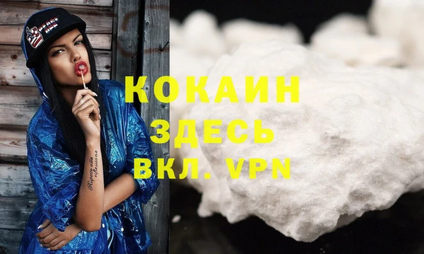 хмурый Алзамай