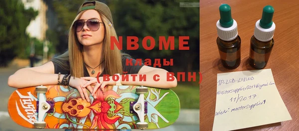 хмурый Алзамай