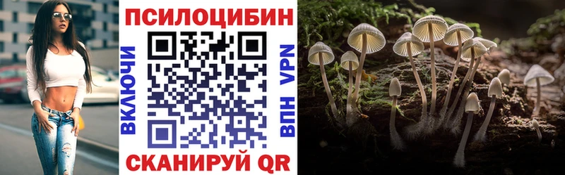 Галлюциногенные грибы Magic Shrooms  Кашин 